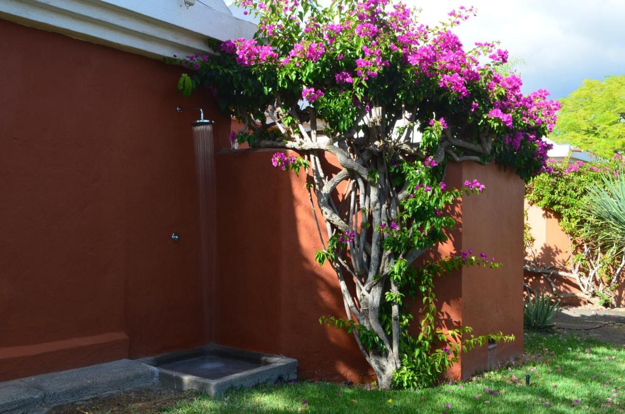 The Peaches Bungalows 45 & 46 Maspalomas  Exterior foto